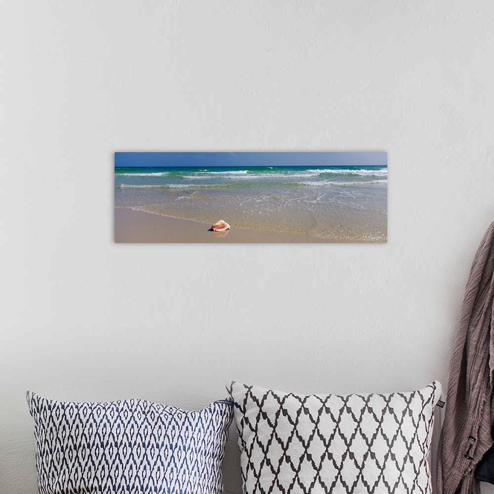 A bohemian room featuring Long panoramic photo of a big shell on the shore of a beach with crashing waves in the background.