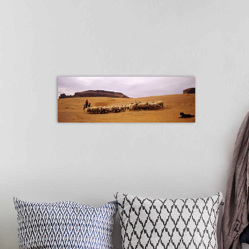 A bohemian room featuring Shepherd herding a flock of sheep, Monument Valley Tribal Park