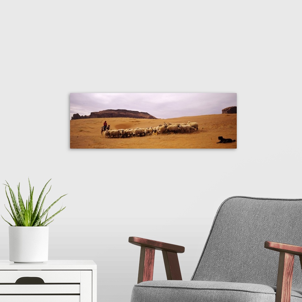 A modern room featuring Shepherd herding a flock of sheep, Monument Valley Tribal Park
