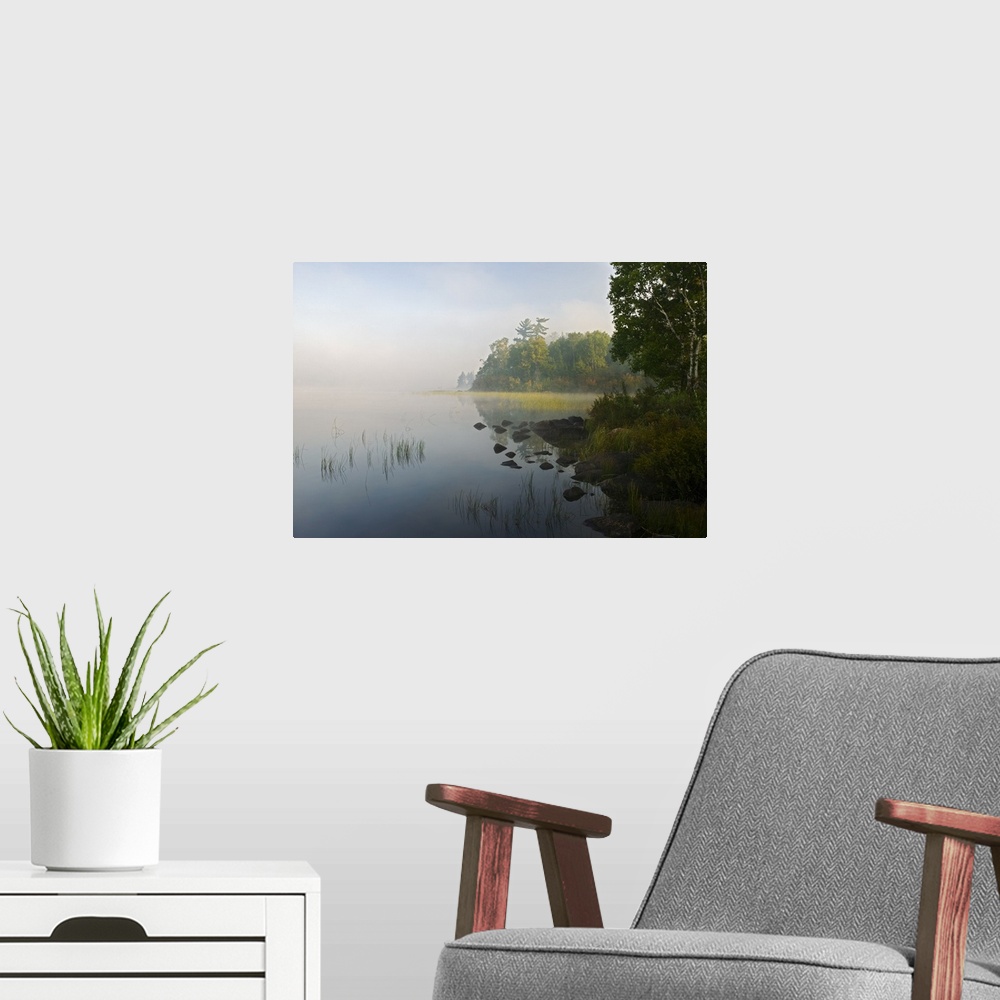 A modern room featuring Photograph of fog filled marsh lined with trees and a rocky shoreline.
