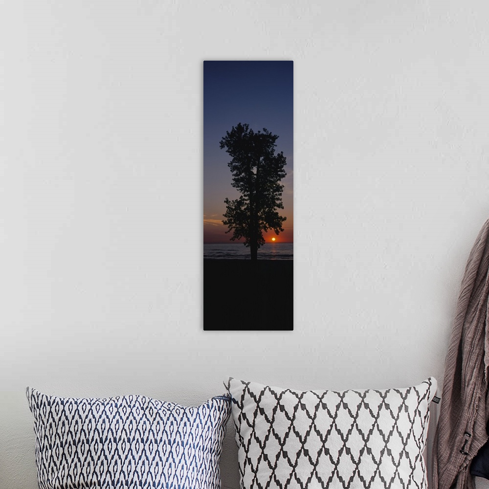 A bohemian room featuring Silhouette of a cotton wood tree at sunrise, Lake Erie, Michigan
