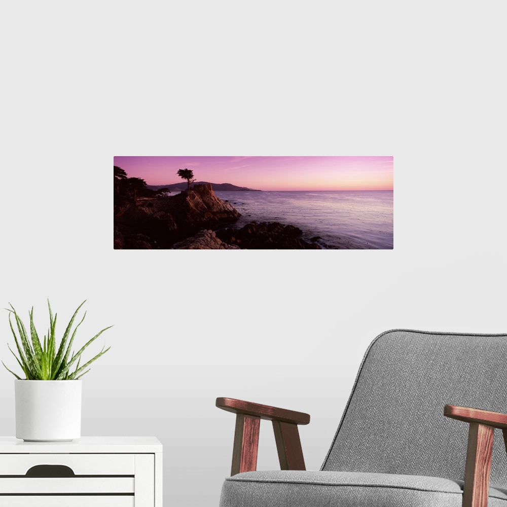 A modern room featuring Landscape photograph on a large wall hanging of a silhouetted cypress tree on the edge of a rocky...