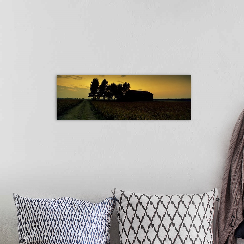 A bohemian room featuring Silhouette of a farmhouse at sunset, Polesine, Veneto, Italy