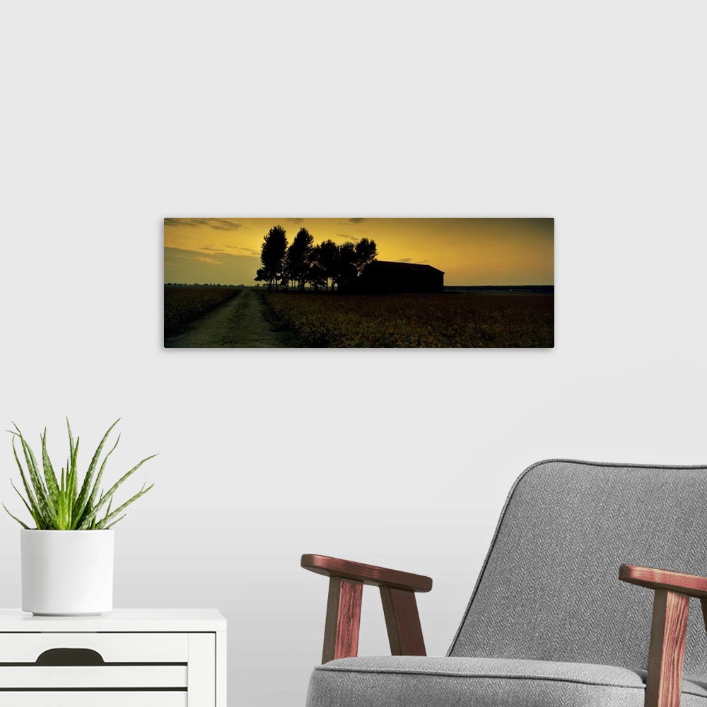 A modern room featuring Silhouette of a farmhouse at sunset, Polesine, Veneto, Italy
