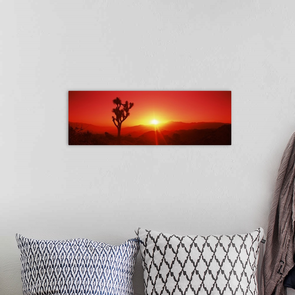 A bohemian room featuring Panoramic photograph displays the sun beginning to set on a desolate landscape within the Western...