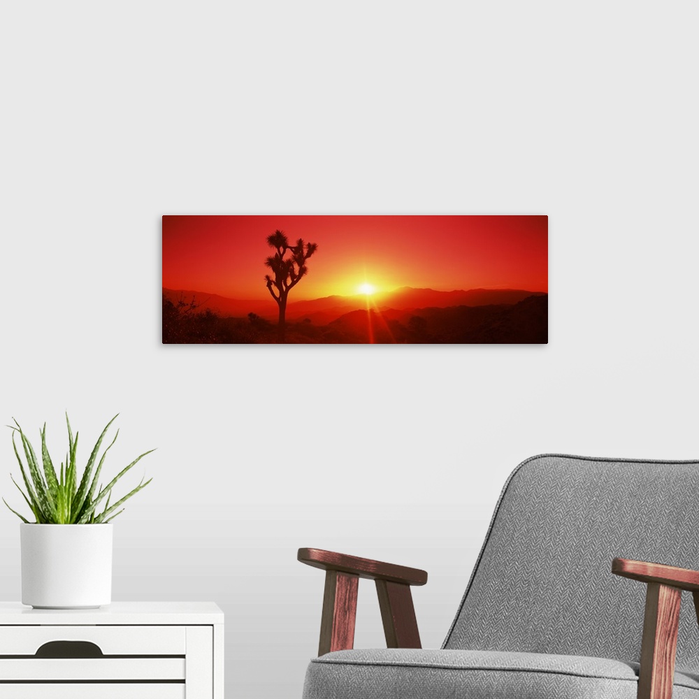 A modern room featuring Panoramic photograph displays the sun beginning to set on a desolate landscape within the Western...