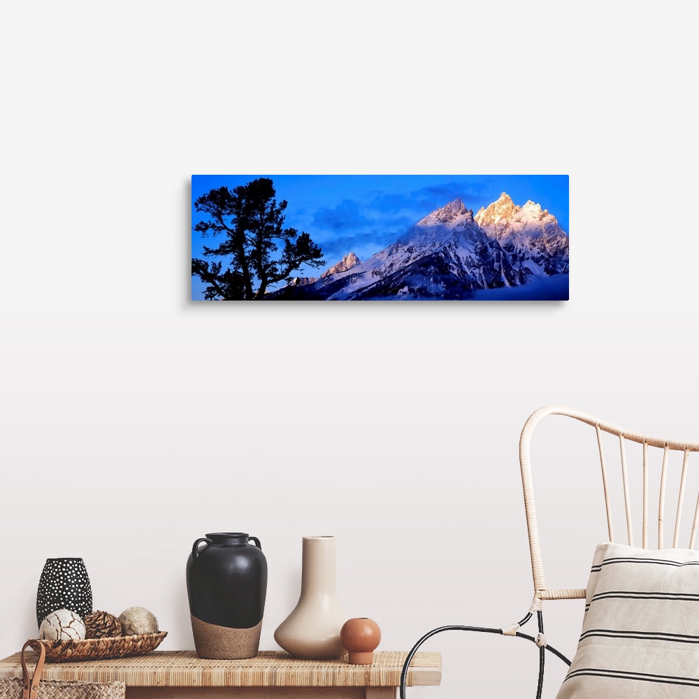 A farmhouse room featuring Silhouette of a Limber Pine (Pinus flexilis) in front of mountains, Cathedral Group, Teton Range,...