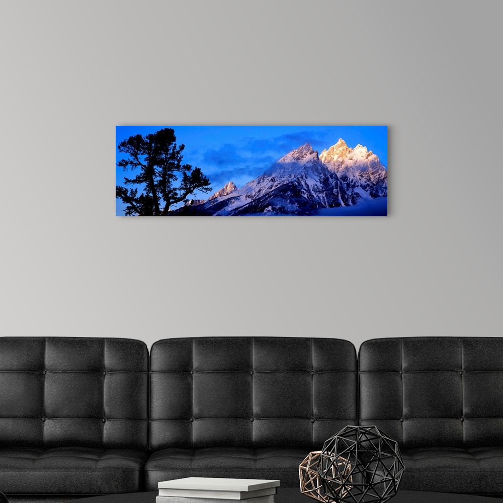A modern room featuring Silhouette of a Limber Pine (Pinus flexilis) in front of mountains, Cathedral Group, Teton Range,...