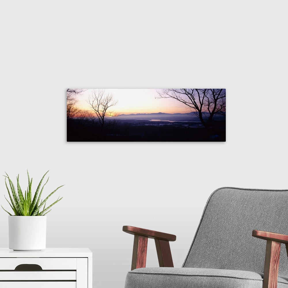 A modern room featuring Silhouette of bare trees on a landscape, Catskill, New York State