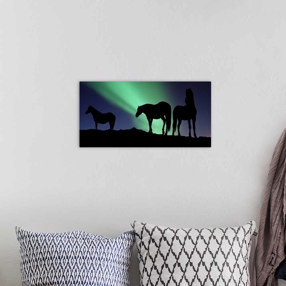 A bohemian room featuring Large, horizontal photograph of the silhouettes of three horses standing on a hill, in front of t...
