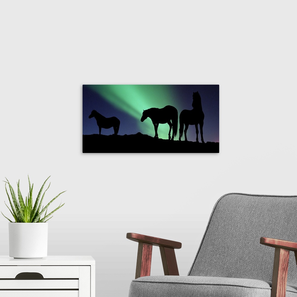 A modern room featuring Large, horizontal photograph of the silhouettes of three horses standing on a hill, in front of t...
