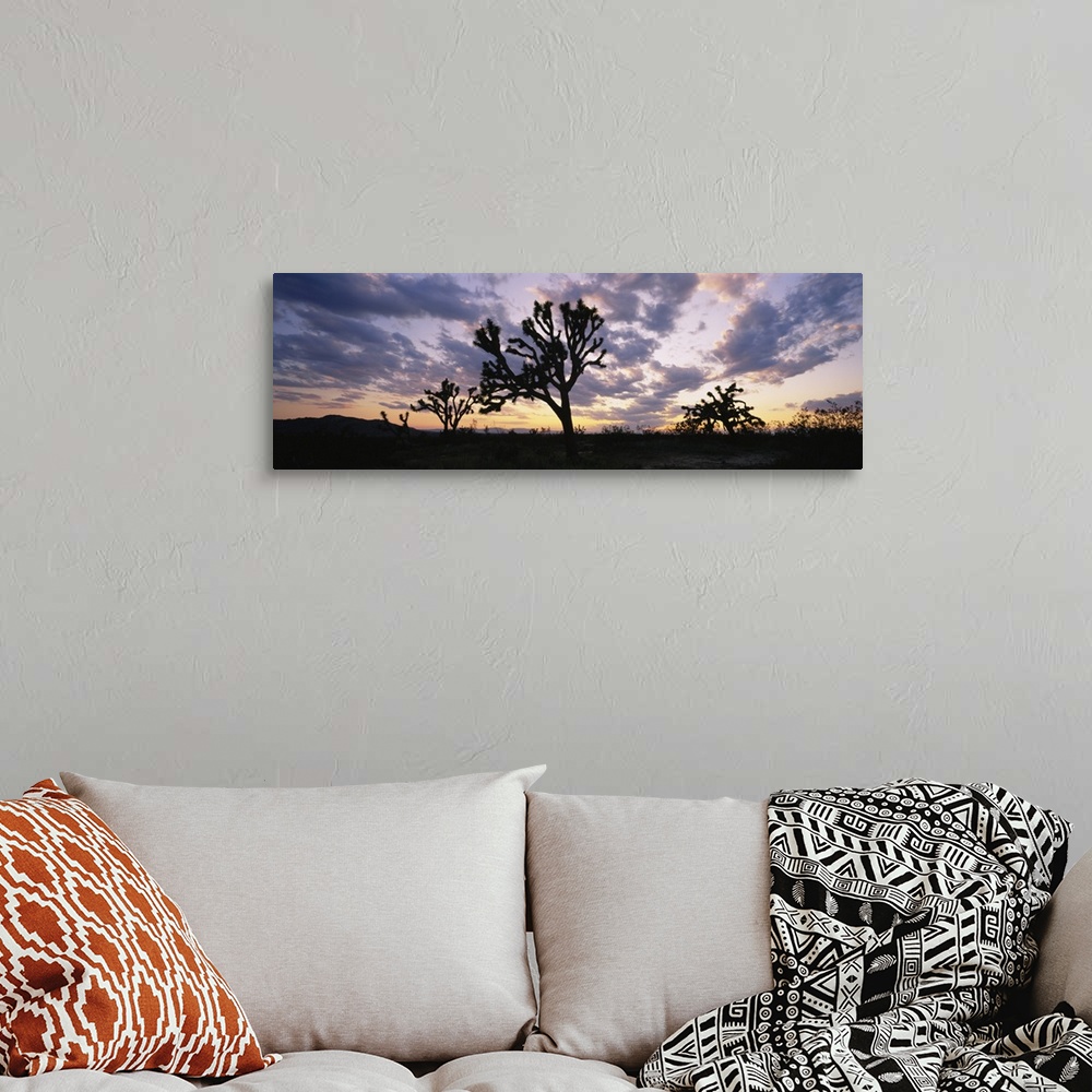 A bohemian room featuring Silhouette of Joshua trees at sunset, Saddleback Buttes State Park, Lancaster, California