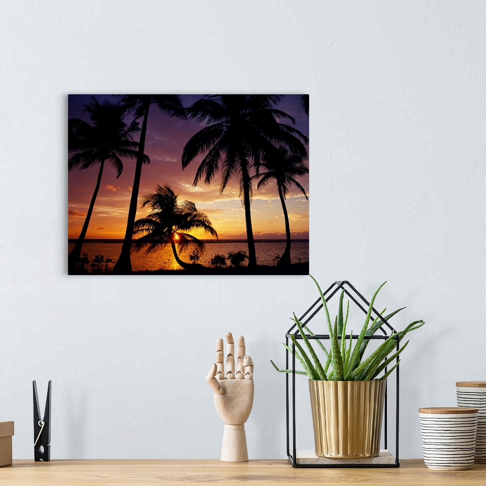 A bohemian room featuring Huge photograph focuses on the sun beginning to rise over the horizon and glisten over the Caribb...