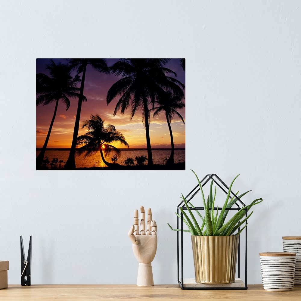 A bohemian room featuring Huge photograph focuses on the sun beginning to rise over the horizon and glisten over the Caribb...