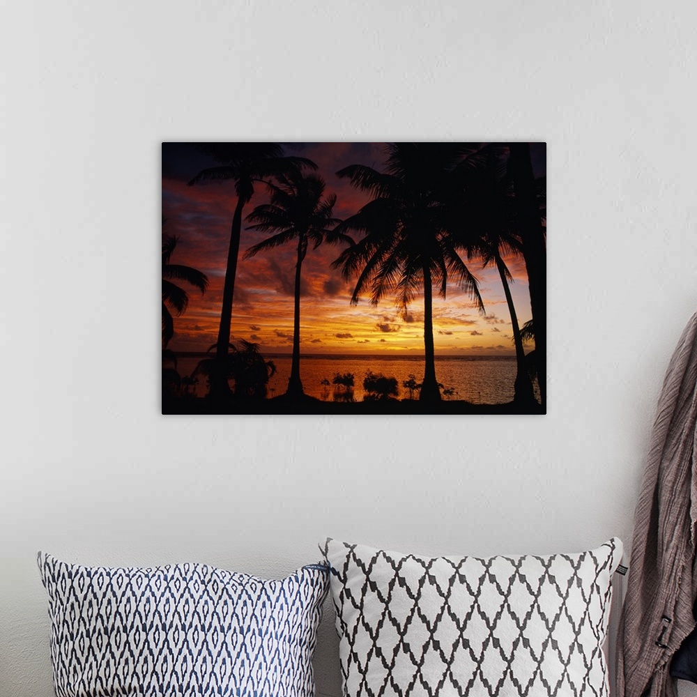 A bohemian room featuring Silhouette of palm tree on the coast at sunrise, Barrier Reef, South Water Caye, Belize