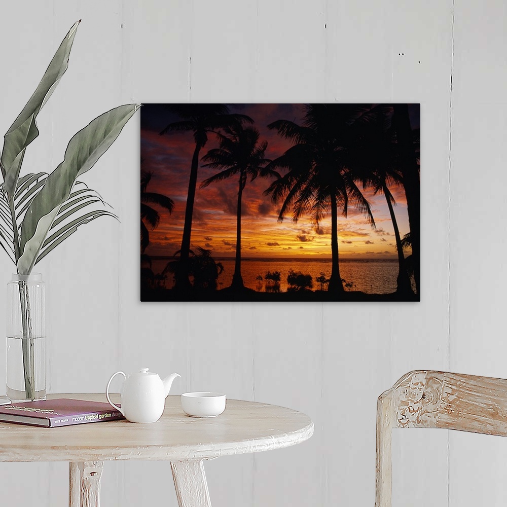 A farmhouse room featuring Silhouette of palm tree on the coast at sunrise, Barrier Reef, South Water Caye, Belize