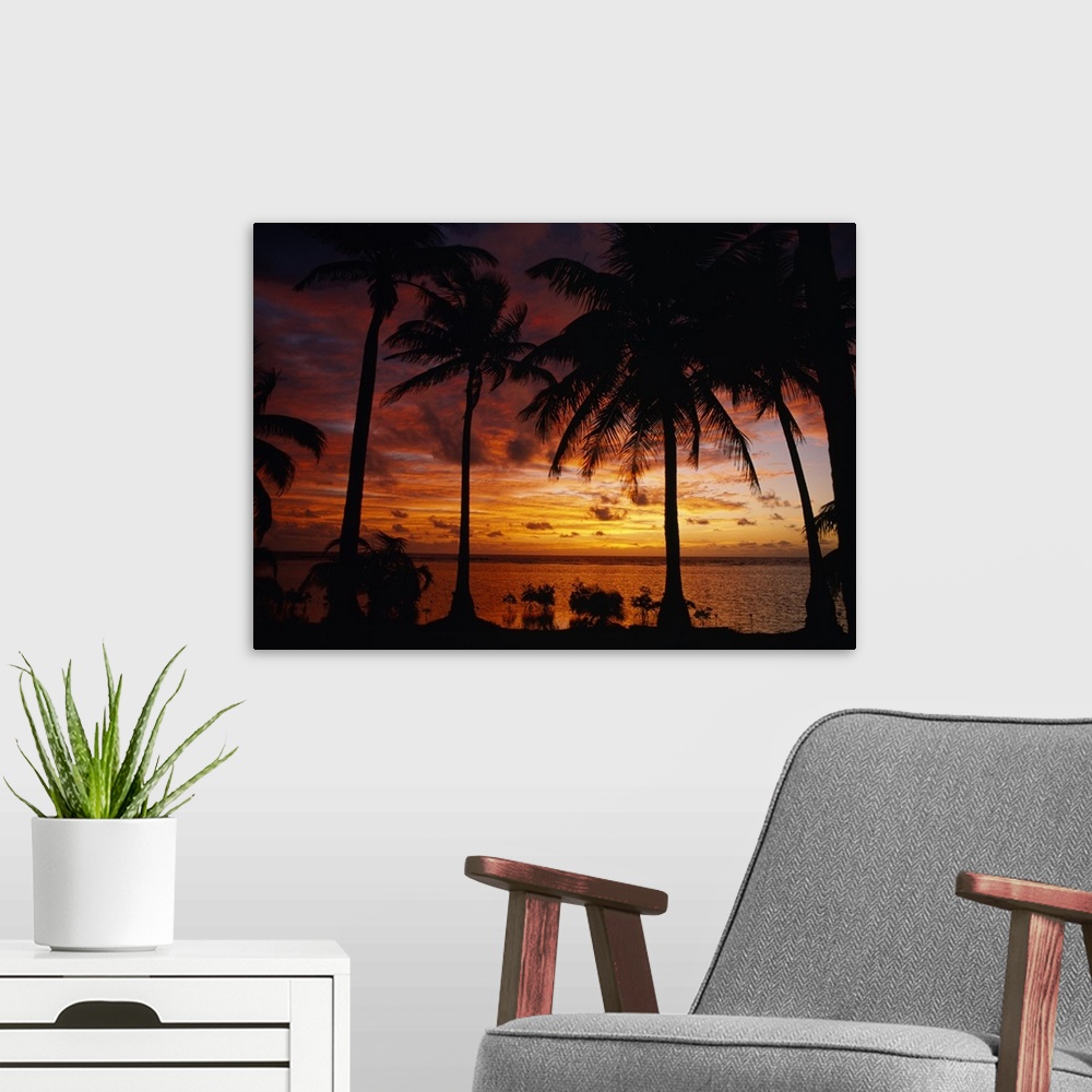 A modern room featuring Silhouette of palm tree on the coast at sunrise, Barrier Reef, South Water Caye, Belize