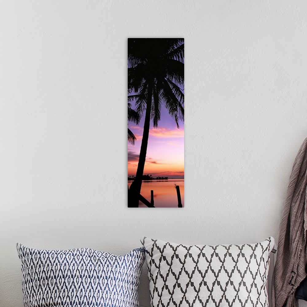 A bohemian room featuring Silhouette of palm trees at dawn, Pine Island, Lee County, Florida,