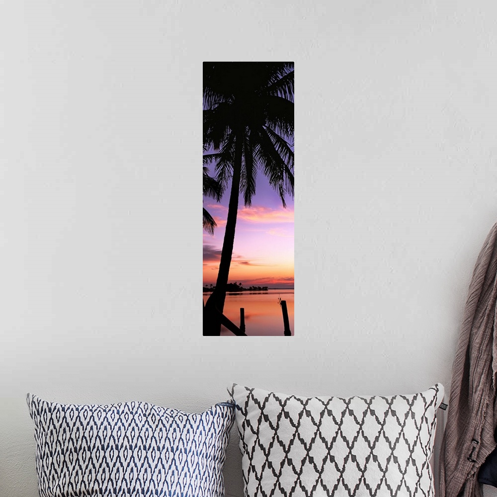 A bohemian room featuring Silhouette of palm trees at dawn, Pine Island, Lee County, Florida,