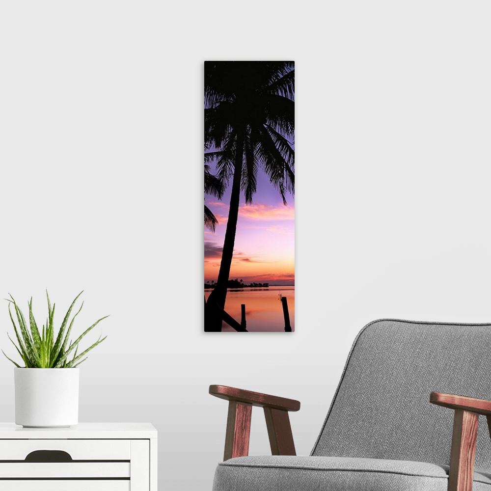 A modern room featuring Silhouette of palm trees at dawn, Pine Island, Lee County, Florida,