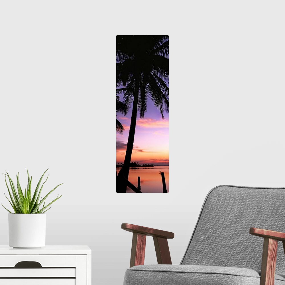 A modern room featuring Silhouette of palm trees at dawn, Pine Island, Lee County, Florida,