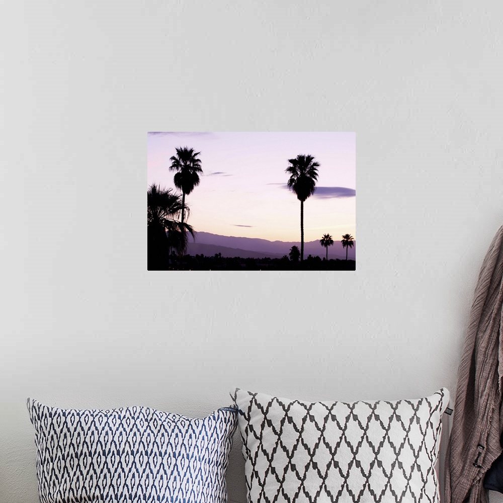 A bohemian room featuring Silhouette of palm trees at dusk, Palm Springs, Riverside County, California