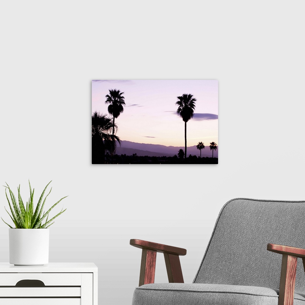 A modern room featuring Silhouette of palm trees at dusk, Palm Springs, Riverside County, California
