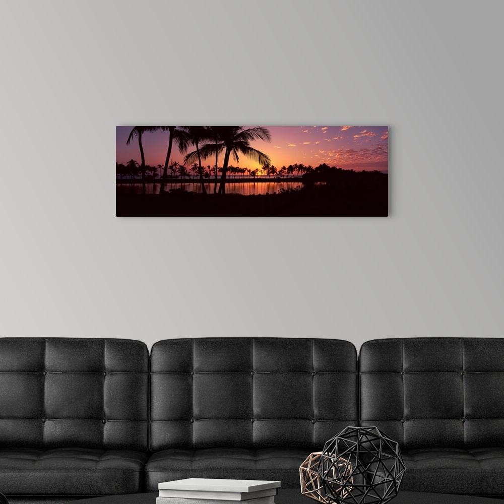 A modern room featuring Silhouette of palm trees at sunset, Anaehoomalu Bay, Waikoloa, Hawaii
