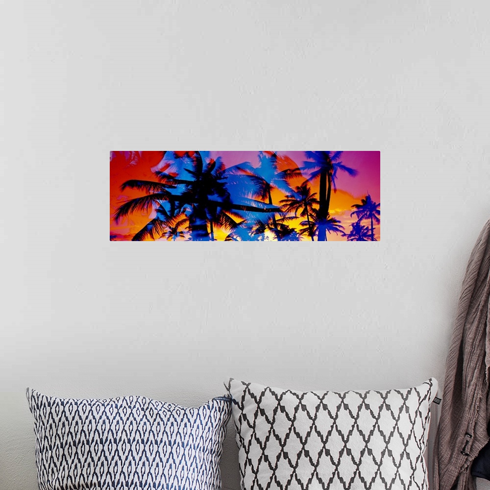 A bohemian room featuring Composite photo of several colored silhouettes of palm trees overlaid on each other, creating a c...