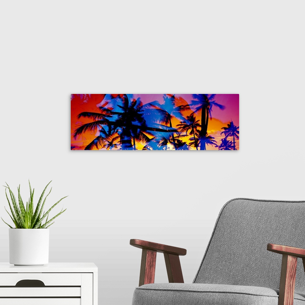 A modern room featuring Composite photo of several colored silhouettes of palm trees overlaid on each other, creating a c...