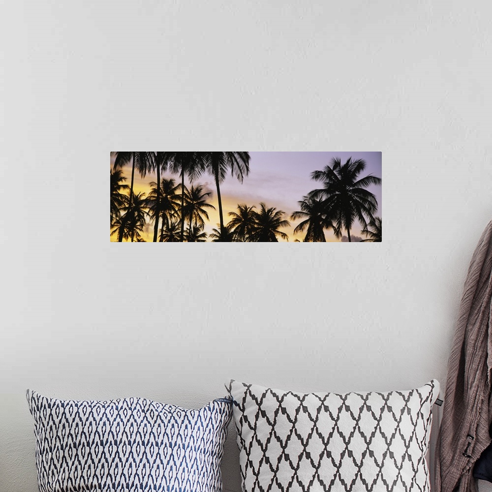 A bohemian room featuring A decorative wall accent of tropical trees photographed a twilight on a panoramic shaped canvas.