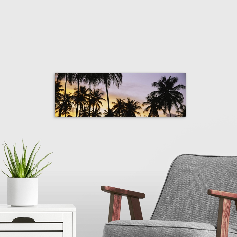 A modern room featuring A decorative wall accent of tropical trees photographed a twilight on a panoramic shaped canvas.