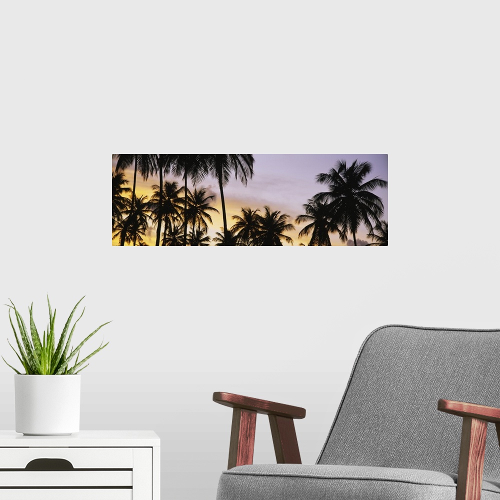 A modern room featuring A decorative wall accent of tropical trees photographed a twilight on a panoramic shaped canvas.