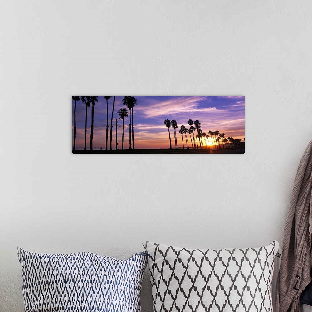 A bohemian room featuring Horizontal, large photograph of a line of palm trees silhouetted against the sunset, beneath a pa...