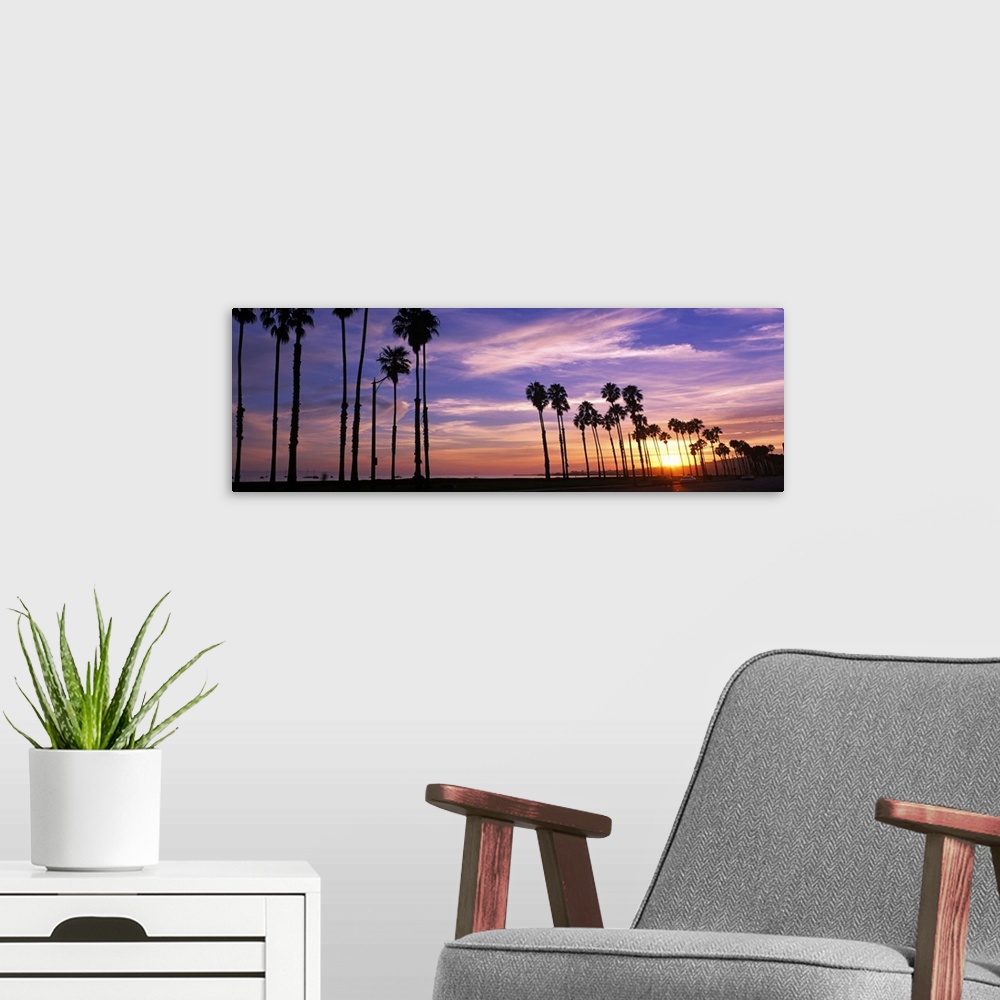 A modern room featuring Horizontal, large photograph of a line of palm trees silhouetted against the sunset, beneath a pa...