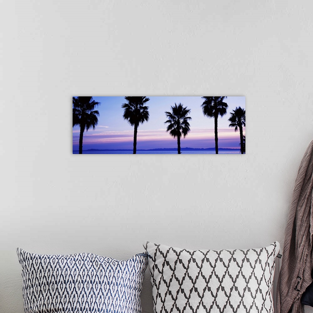 A bohemian room featuring Silhouette of palm trees, Laguna Beach, Orange County, California, USA