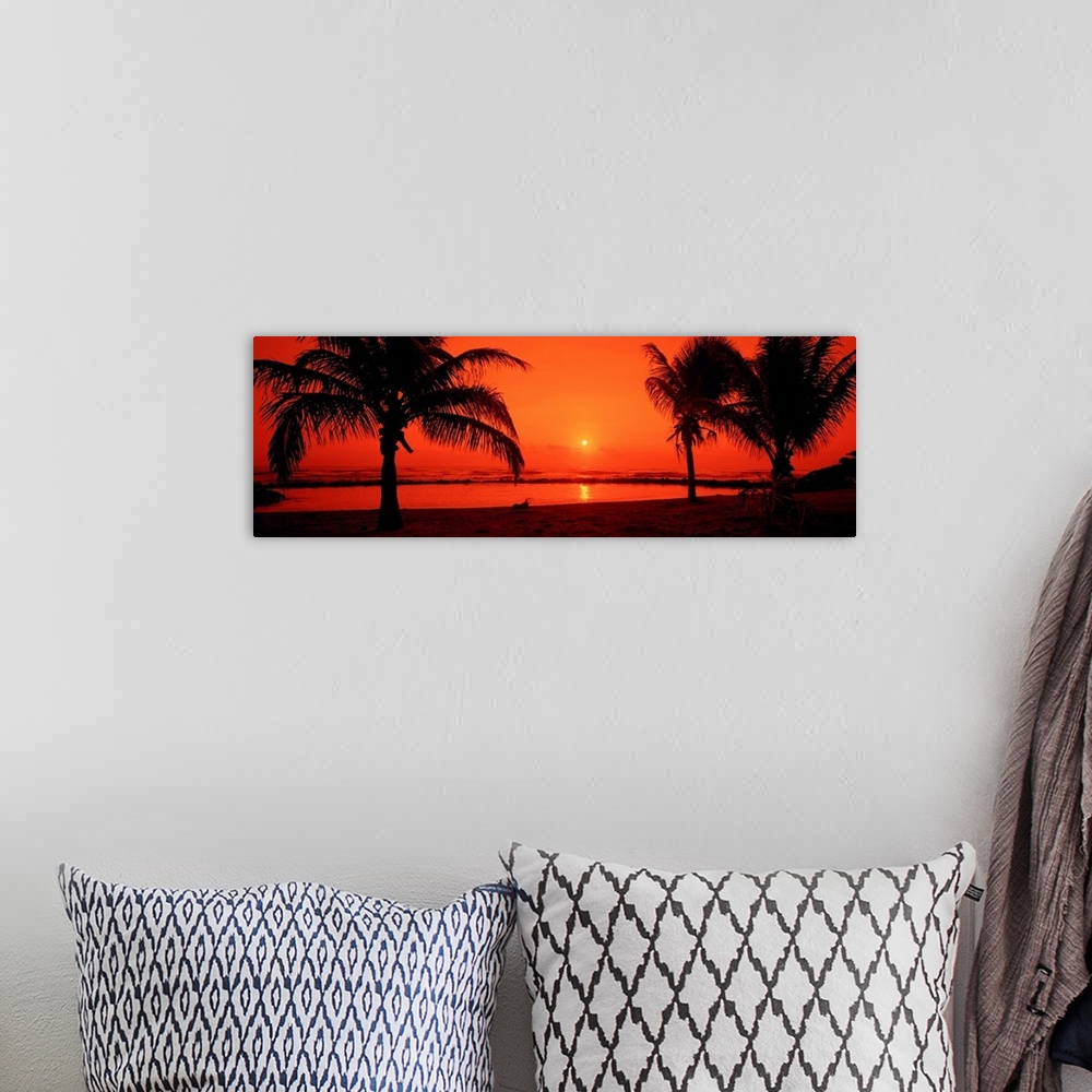 A bohemian room featuring Trees growing on the tropical shore in sunset light on this panoramic photograph.