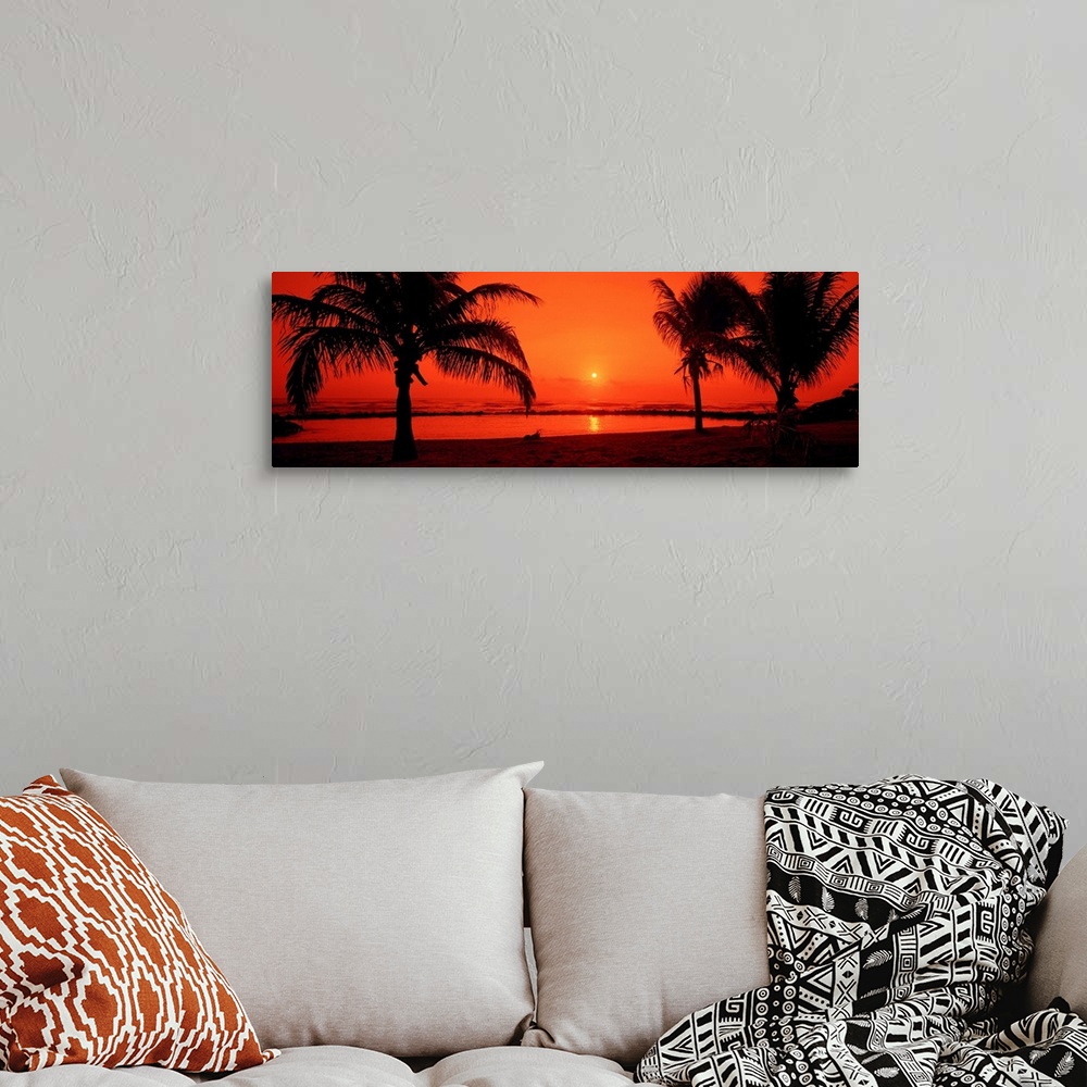 A bohemian room featuring Trees growing on the tropical shore in sunset light on this panoramic photograph.
