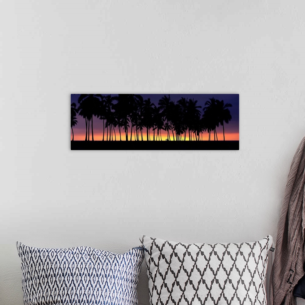 A bohemian room featuring Silhouette of palm trees on the beach, Big Island, Hawaii II
