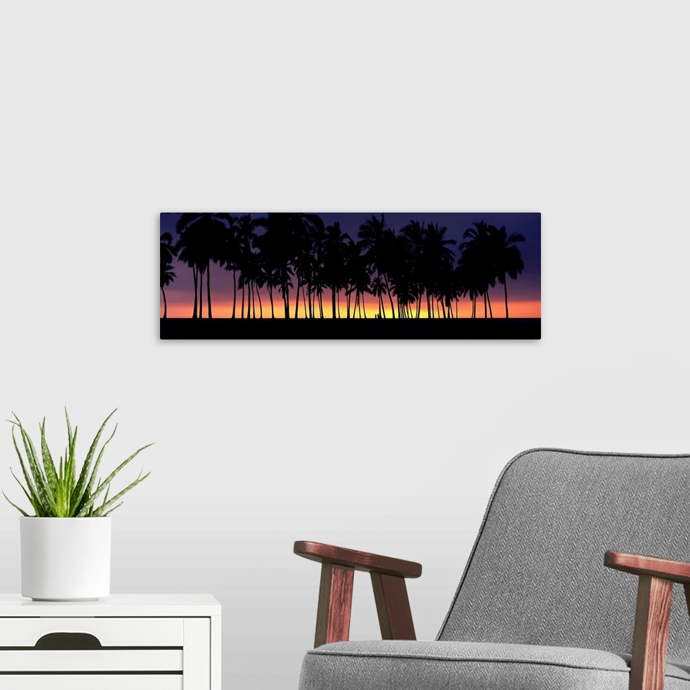 A modern room featuring Silhouette of palm trees on the beach, Big Island, Hawaii II