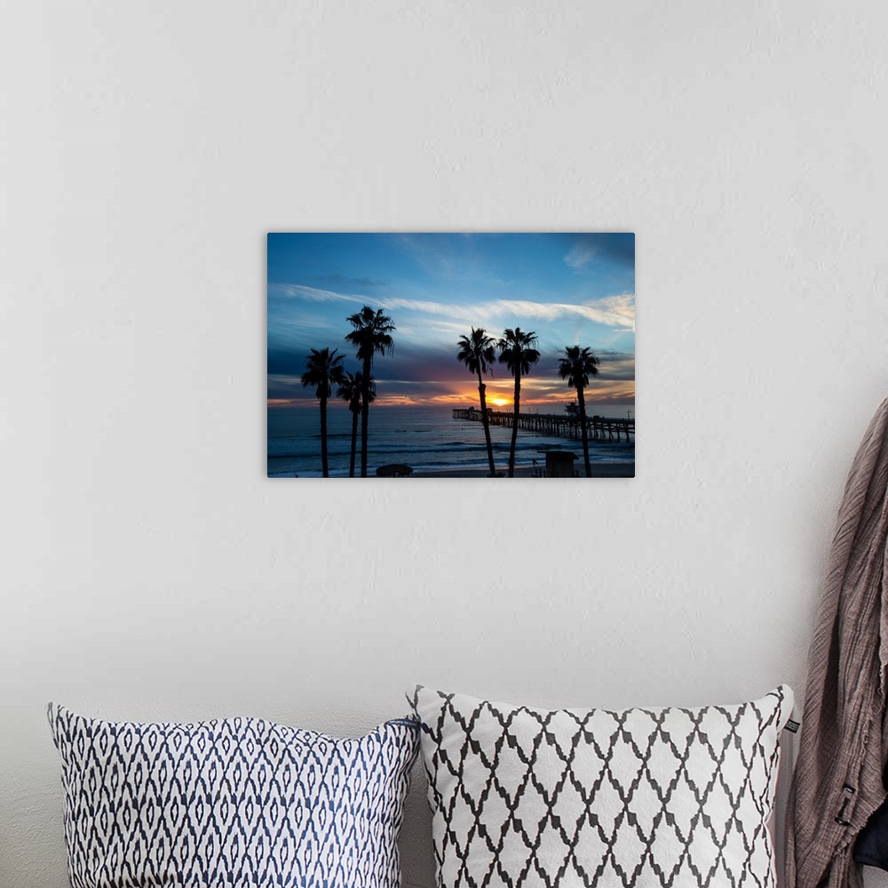 A bohemian room featuring Silhouette of palm trees on the beach, Laguna Beach, California, USA
