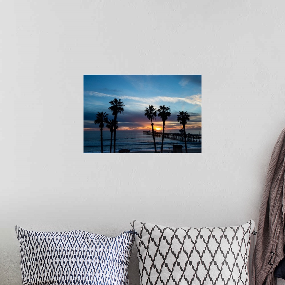 A bohemian room featuring Silhouette of palm trees on the beach, Laguna Beach, California, USA