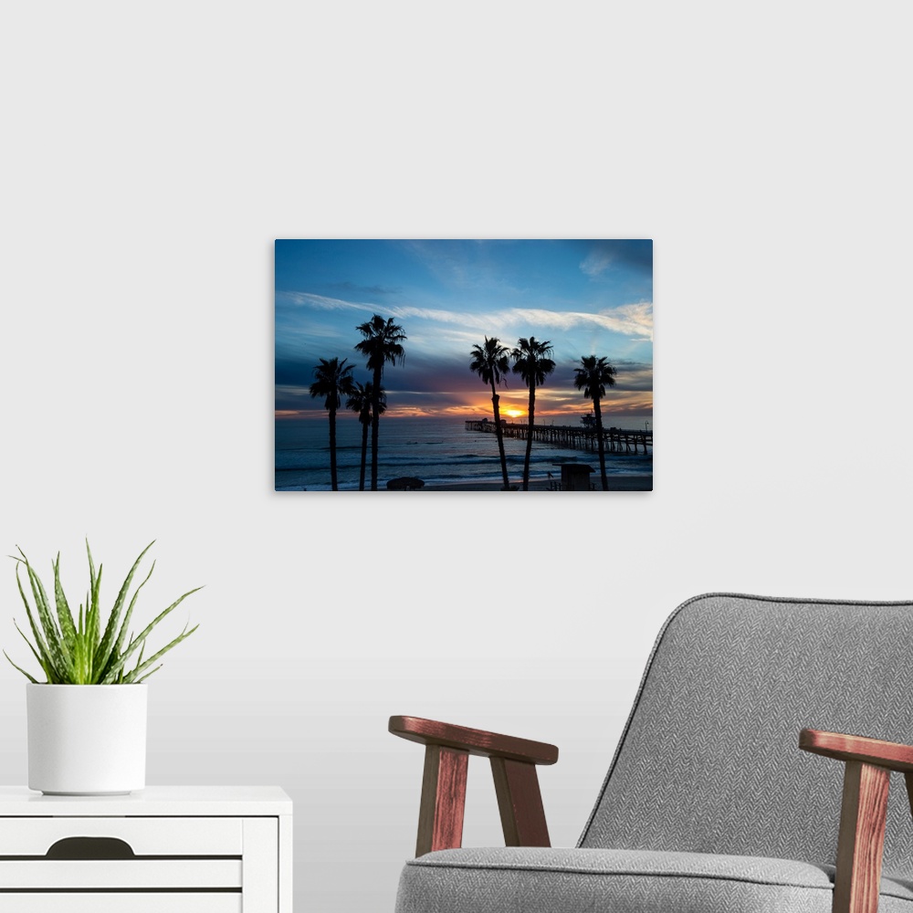 A modern room featuring Silhouette of palm trees on the beach, Laguna Beach, California, USA
