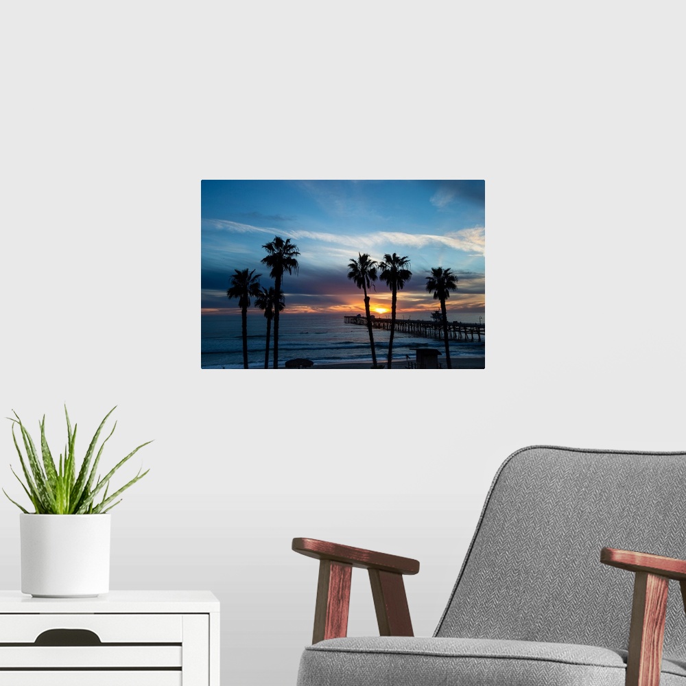 A modern room featuring Silhouette of palm trees on the beach, Laguna Beach, California, USA