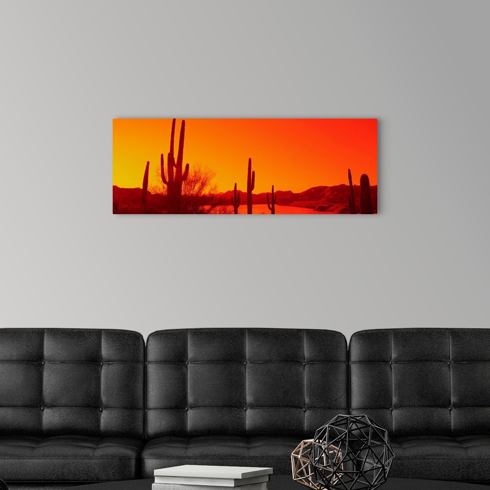 A modern room featuring Silhouette of Saguaro cacti at sunrise, Tonto National Forest, Arizona