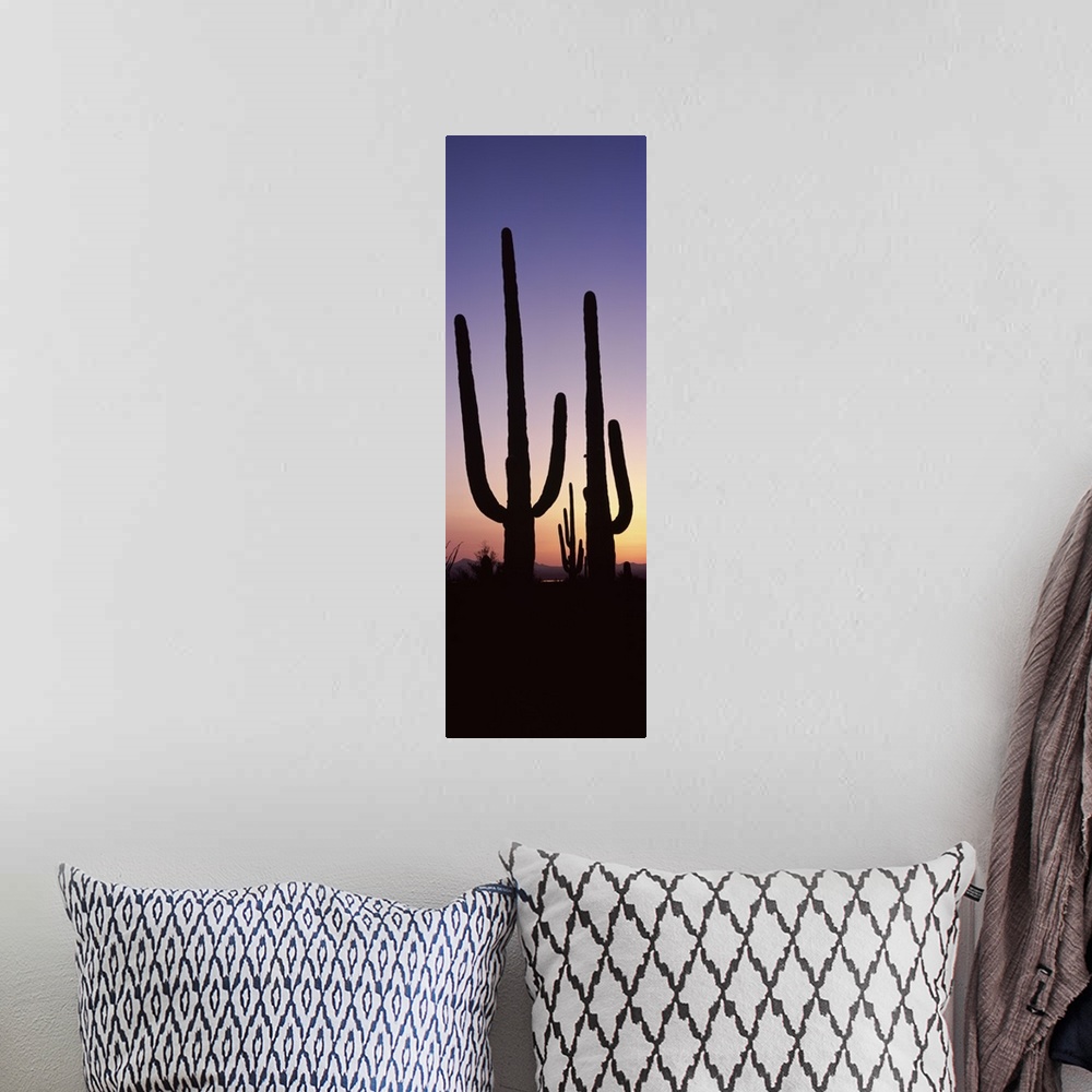 A bohemian room featuring Vertical panoramic photograph of cactus silhouettes in desert at sunset with mountains in the dis...