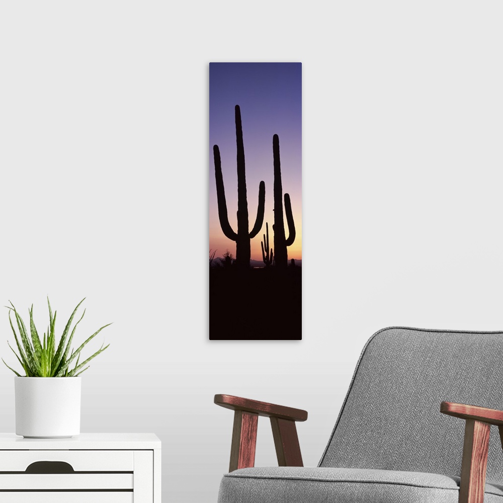A modern room featuring Vertical panoramic photograph of cactus silhouettes in desert at sunset with mountains in the dis...