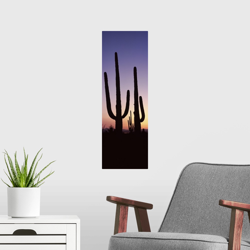 A modern room featuring Vertical panoramic photograph of cactus silhouettes in desert at sunset with mountains in the dis...