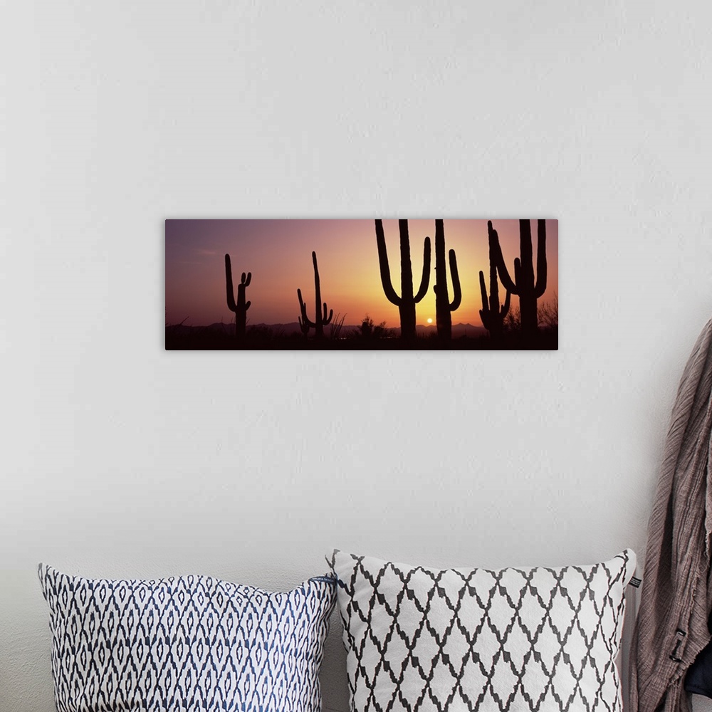 A bohemian room featuring Panoramic photo print of cactus plants in the desert silhouetted against a setting sun.