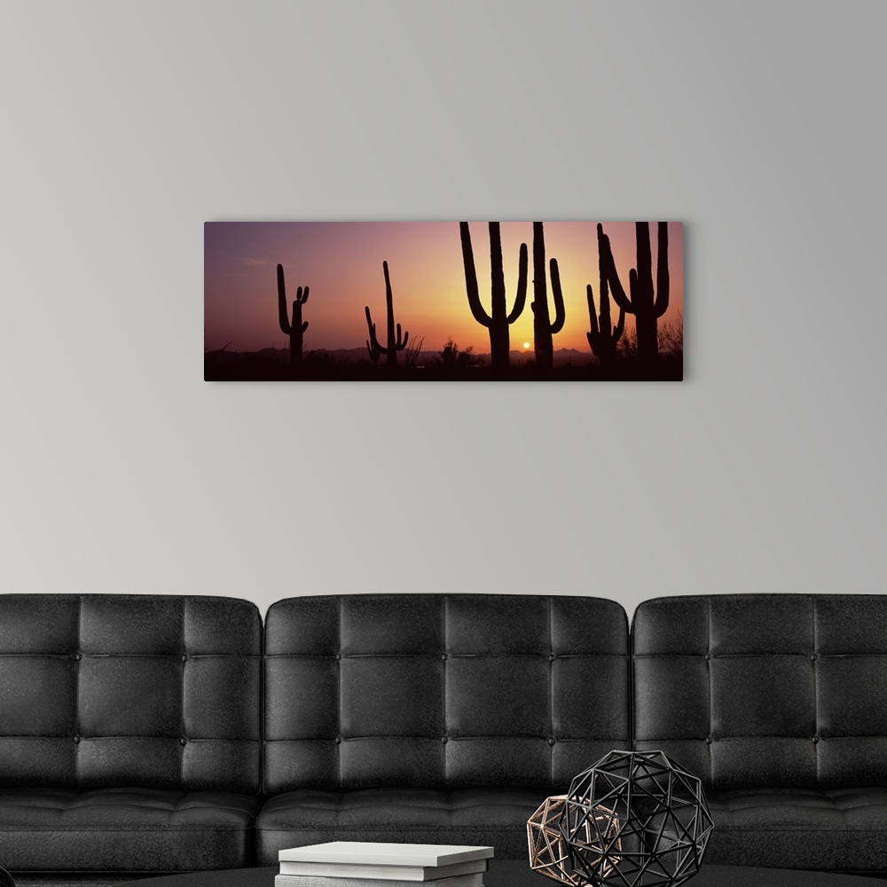 A modern room featuring Panoramic photo print of cactus plants in the desert silhouetted against a setting sun.